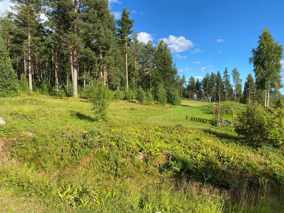 Beautiful 4-5 Persons Cottage In Alvdalen Blyberg Exterior foto